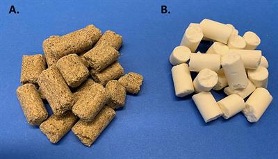 Common Dietary Modifications in Preclinical Models to Study Skeletal Health